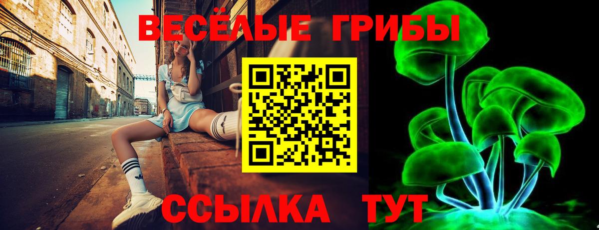 Псилоцибиновые грибы MAGIC MUSHROOMS Шебекино